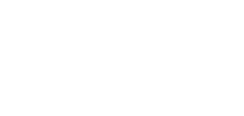 vatsim_white-1